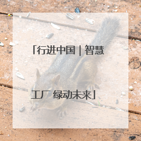 行进中国｜智慧工厂 绿动未来